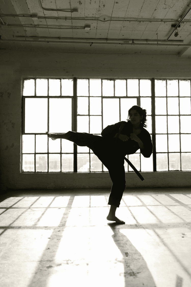 Martial Arts Master